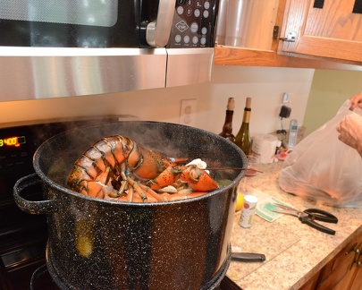 Lobster boil